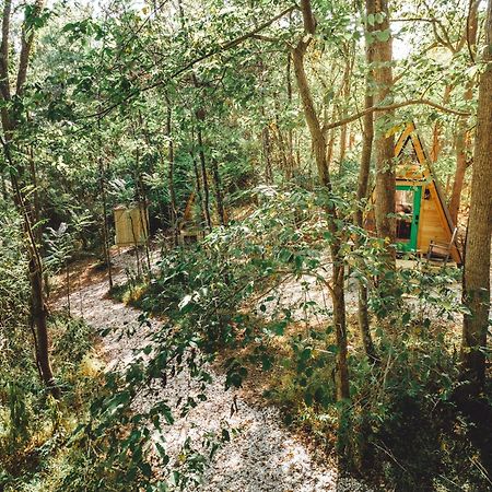 Апартаменты Blue Brambler Glamping A-Frame Rockbridge Экстерьер фото