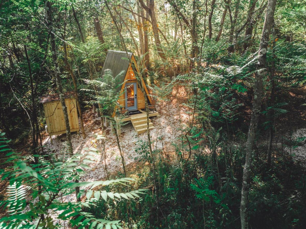 Апартаменты Blue Brambler Glamping A-Frame Rockbridge Экстерьер фото