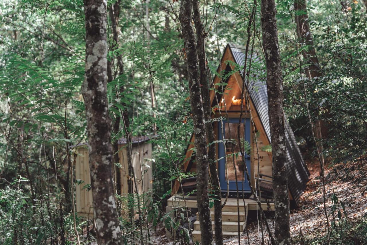 Апартаменты Blue Brambler Glamping A-Frame Rockbridge Экстерьер фото