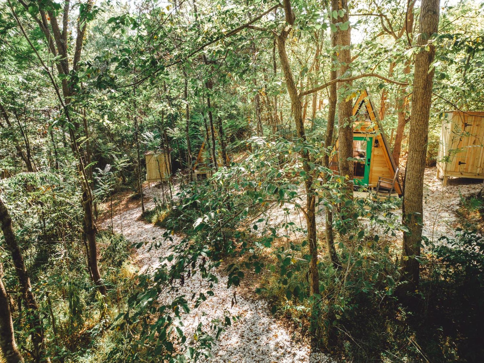 Апартаменты Blue Brambler Glamping A-Frame Rockbridge Экстерьер фото
